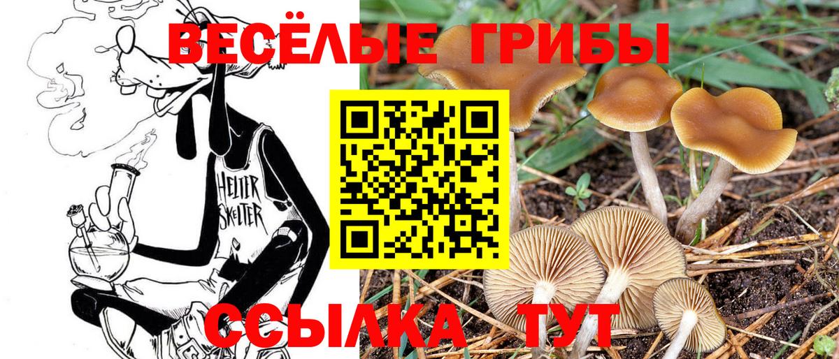 Галлюциногенные грибы Cubensis  Вход с VPN  цены наркотик  Таганрог 