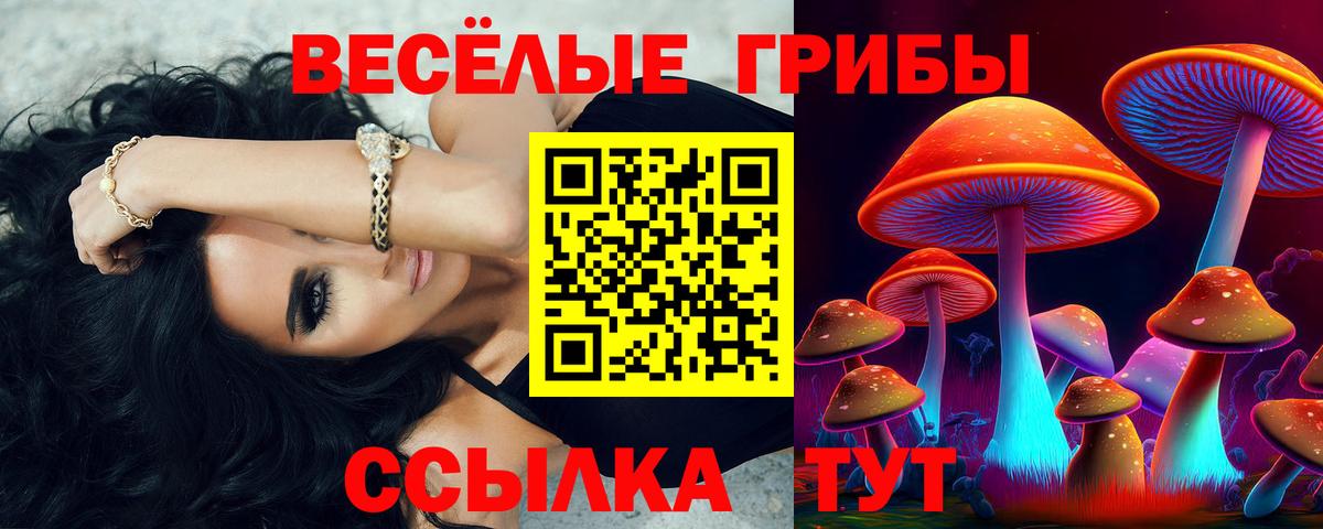 NBOMe Таганрог